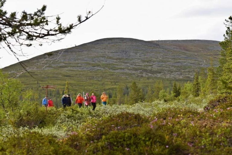 Levi: Pallas Panoramic Hike - Who Should Consider This Tour?