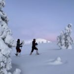 Levi: Pallas-Yllästunturi National Park Snowshoeing Tour - Who Will Love This Tour?