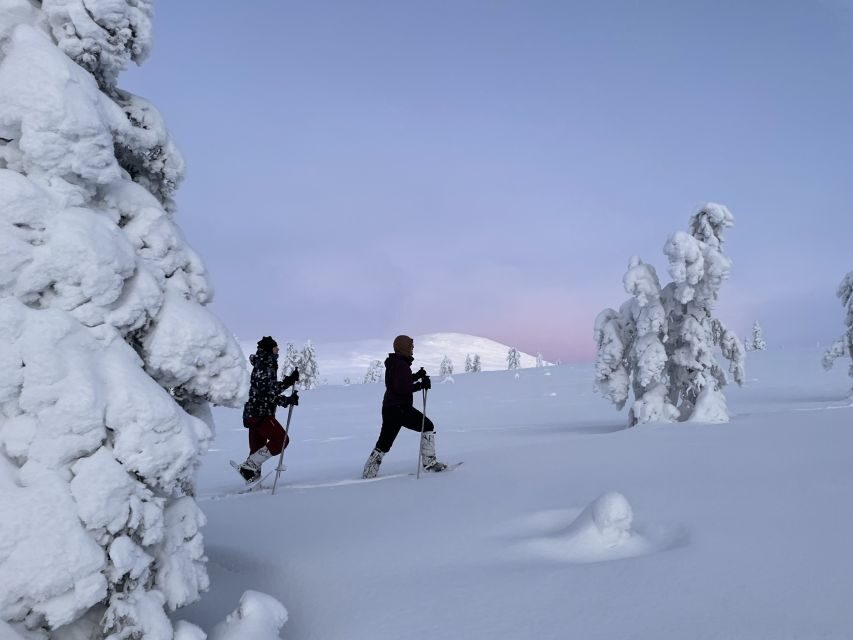 Levi: Pallas-Yllästunturi National Park Snowshoeing Tour - Who Will Love This Tour?