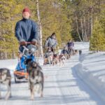 Levi: Reindeer and Husky Taster - The Itinerary in Detail
