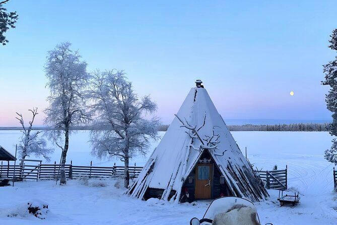 Levi Reindeer Safari - Long or Quick - with Sledge Ride - Who Should Consider This Tour?