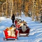 Levi: Reindeer Sleigh Ride Tour in Snowy Forest - The Itinerary Breakdown