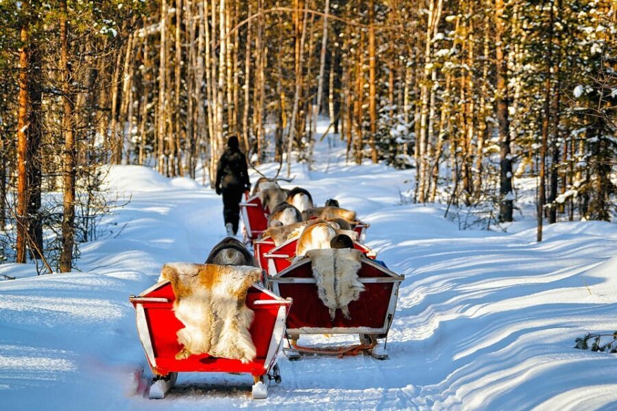 Levi: Reindeer Sleigh Ride Tour in Snowy Forest - The Itinerary Breakdown