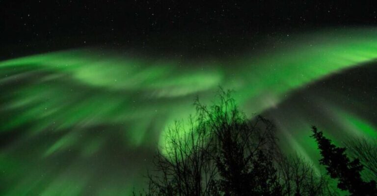 Levi: Search for Northern Lights in snowmobile sleigh - Exploring the Experience: What It’s Really Like