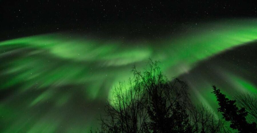 Levi: Search for Northern Lights in snowmobile sleigh - Exploring the Experience: What It’s Really Like