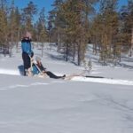 Levi: Self-Drive 5 KM Husky Sledding Experience - Why This Tour Is a Great Choice