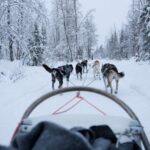 Levi: Self-Drive Guided Husky Tour - The Experience in Detail