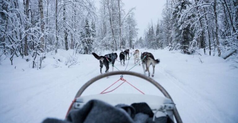 Levi: Self-Drive Guided Husky Tour - The Experience in Detail