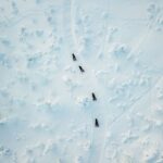 Levi: Snowmobile Safari with Ice Fishing and Outdoor Lunch - An In-Depth Look at the Tour
