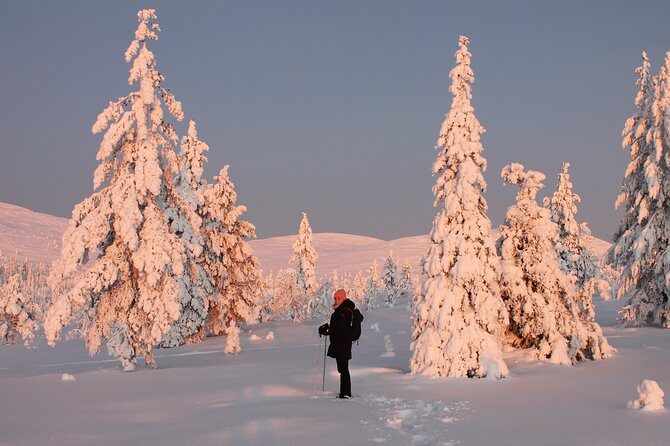 Levi: Snowshoeing adventure in the National Park - FAQ