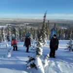 Levi: Snowsurfing Adventure with Snowshoe Hike - What Makes This Tour Special?