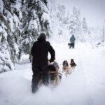 Levi: Winter Highlights Family Day - A Detailed Look at the Tour Experience
