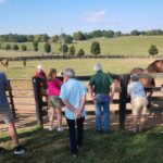 Lexington: Thoroughbred Horse Farm Tour and Scenic Bluegrass - Who Should Consider This Tour?