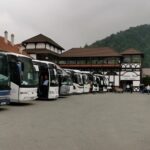 Libearty Brown Bears Sanctuary & Fun with ATV or Buggy Quad Tour - Transportation and Logistics