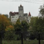 LiBEARty - the Brown Bear Sanctuary from Zarnesti - Who Should Consider This Tour?