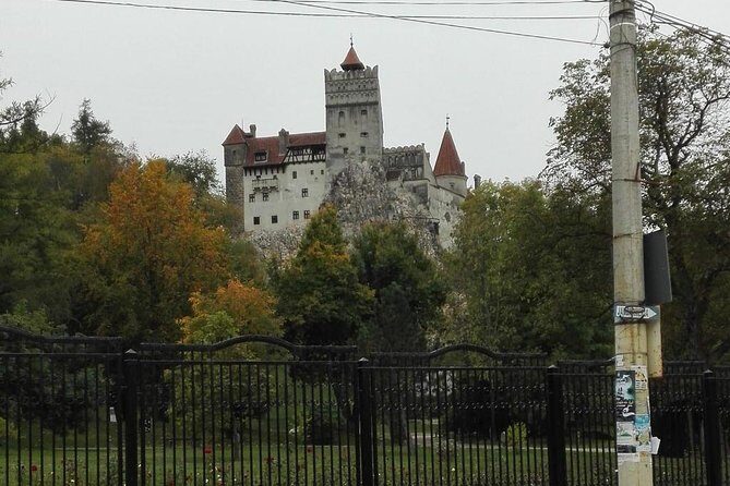 LiBEARty - the Brown Bear Sanctuary from Zarnesti - Who Should Consider This Tour?