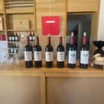 Libourne : visite et dégustation de vin au cur de Libourne - A Deep Dive into the Experience