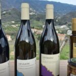Lievàntu Wine Experience - A Closer Look at the Lievàntu Wine Experience
