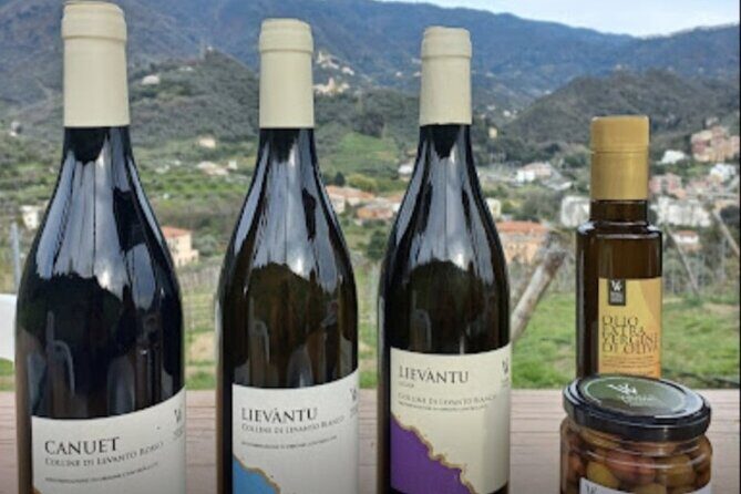 Lievàntu Wine Experience - A Closer Look at the Lievàntu Wine Experience