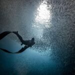 Ligaria Beach: Discover Free Diving (Apnea) - Who Should Consider This Tour?