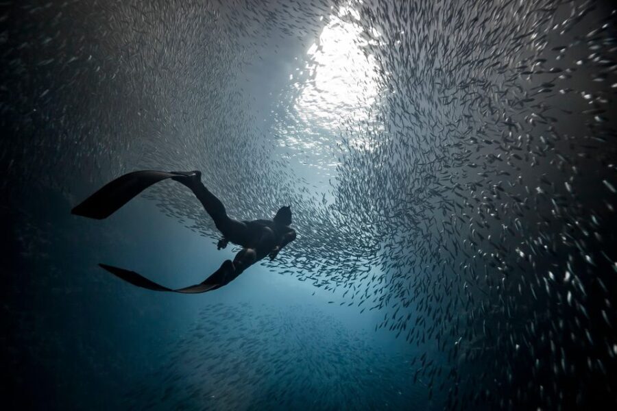 Ligaria Beach: Discover Free Diving (Apnea) - Who Should Consider This Tour?