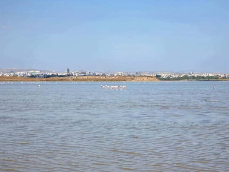 Limassol: Larnaca and Nicosia North Cyprus Private Tour - Practical Details and Tips for Travelers