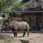 Lincoln Park Nature Museum and Zoo Public Walking Tour - Practical Details and Tips