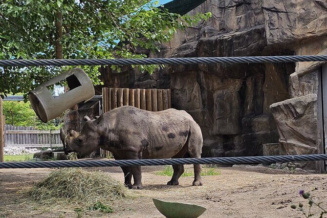 Lincoln Park Nature Museum and Zoo Public Walking Tour - Practical Details and Tips