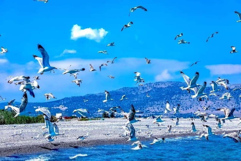 Lindos: 1.5 Hour Glass-Bottom Boat Cruise with Swim Stops - The Sum Up