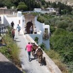 Lindos Day Cruise with Swim Stops from Faliraki & Kalithea - What’s Included and What’s Not