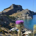 Lindos Odyssey: Noon to Evening Experience (Small Group) - Why This Tour Is a Great Choice