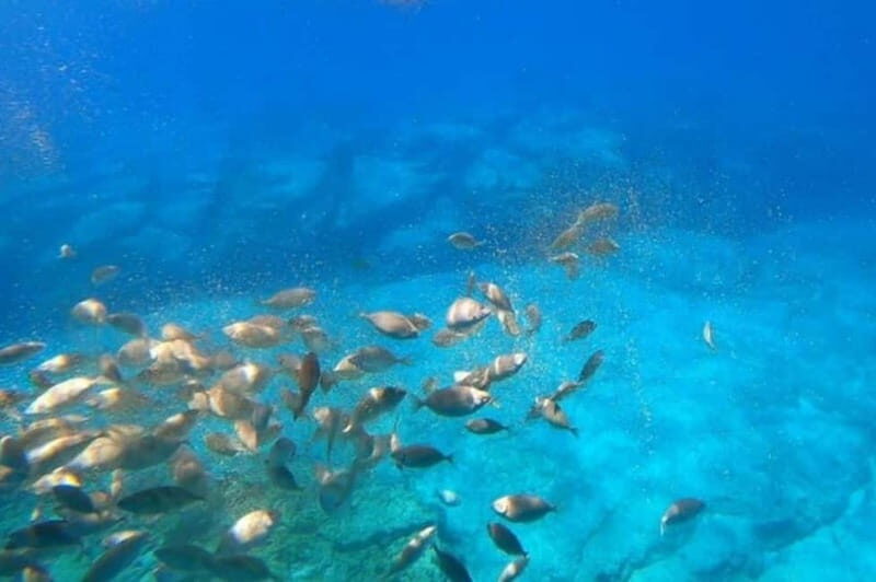 Lindos: Submarine Cruise with Swimming Stop at Navarone Bay - The Sum Up