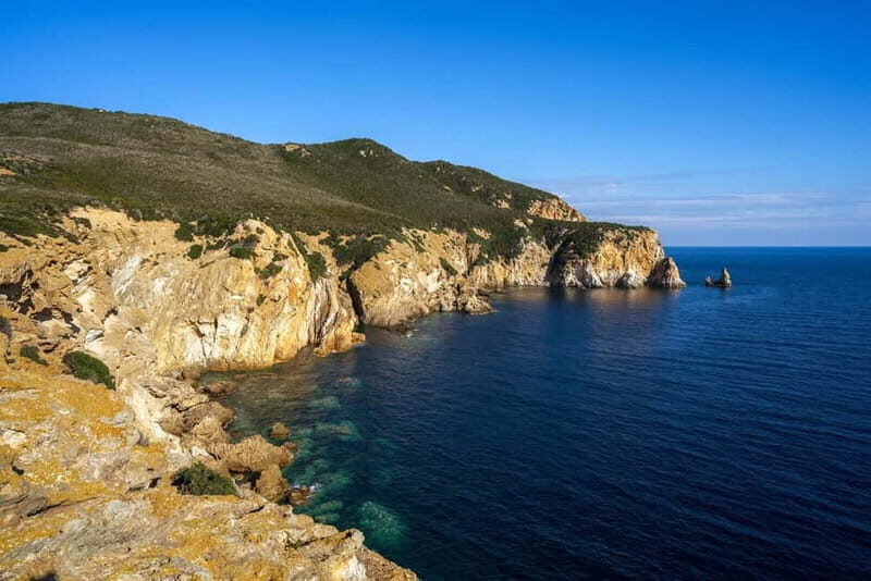 Linea isola di Zannone - Who Should Consider This Tour?