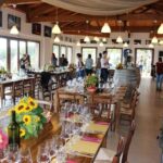 Linguaglossa: Wine Tasting Experience at Etna Nord - What to Expect: A Practical Breakdown