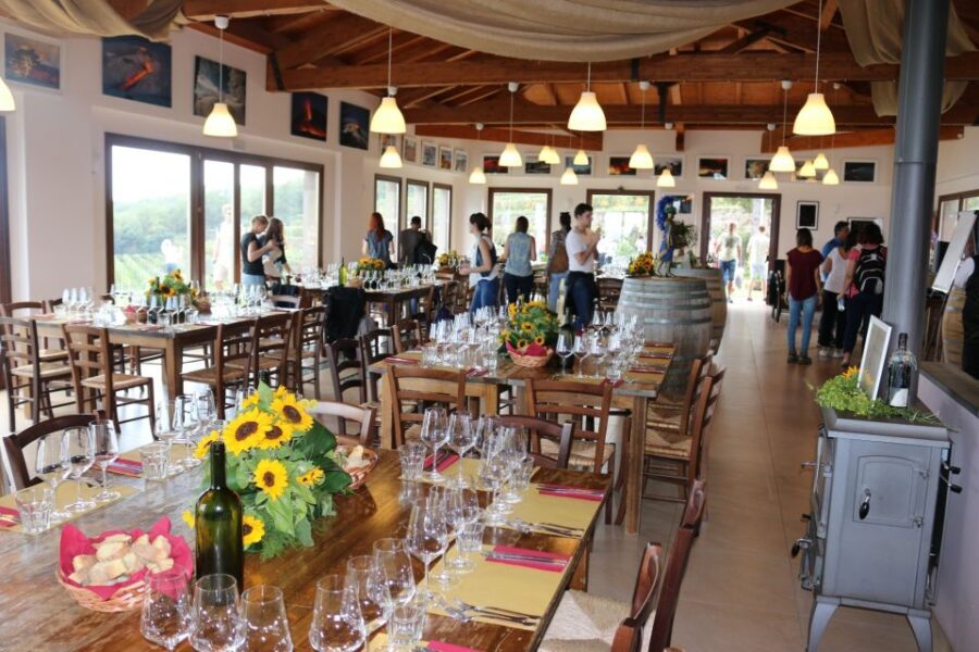 Linguaglossa: Wine Tasting Experience at Etna Nord - What to Expect: A Practical Breakdown