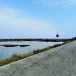 Lio Piccolo: Flamingos & Birdwatching Bike Tour in the Lagoon - The Value of This Experience