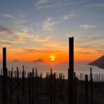 LIPARI WINERY - PIC NIC IN THE VINEYARD - Who Will Love This Experience?
