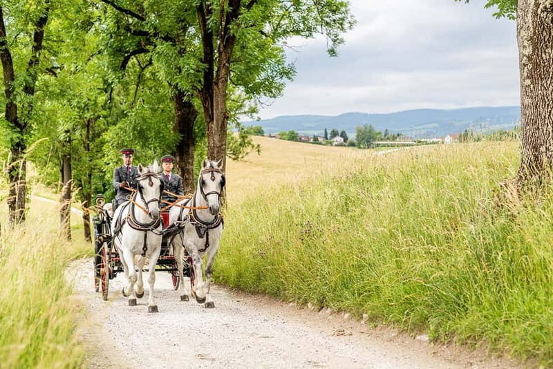 Lipizzaner Stud Piber: Independent Visit - Final Thoughts