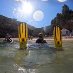 Lisboa: Snorkeling experience in Marine Reserve with photos - The Sum Up