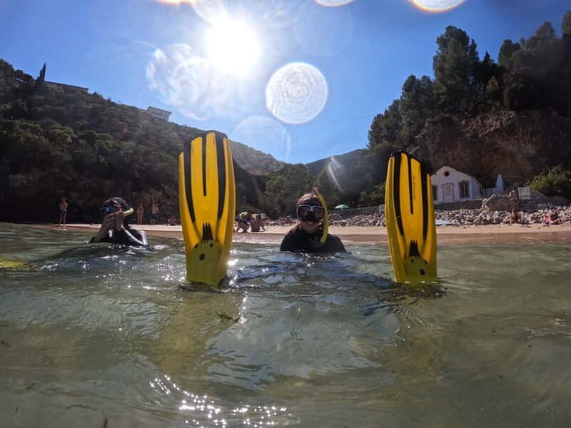 Lisboa: Snorkeling experience in Marine Reserve with photos - The Sum Up