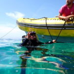 Lisboa:Try Scuba Diving in Arrábida Marine Reserve w/photos - Practical Details and Considerations