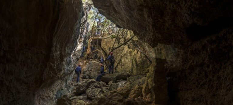 Lisbon: Adventure Circuit, Arrábida Park, Setubal, Sesimbra - A Detailed Look at the Adventure Circuit Experience