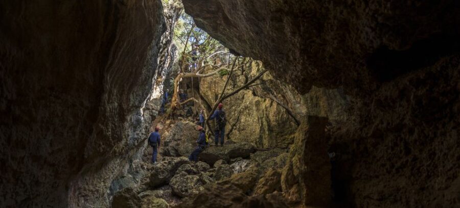 Lisbon: Adventure Circuit, Arrábida Park, Setubal, Sesimbra - A Detailed Look at the Adventure Circuit Experience