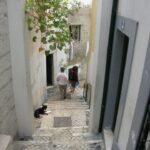 Lisbon: Alfama and São Jorge Castle Quarters Walking Tour - Discovering Lisbon’s Cultural Roots