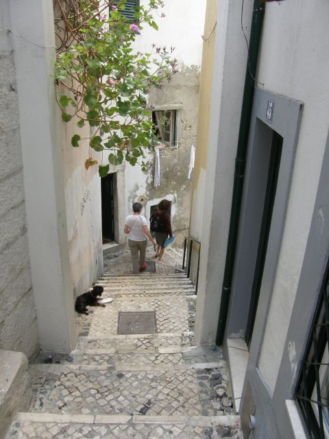 Lisbon: Alfama and São Jorge Castle Quarters Walking Tour - Discovering Lisbon’s Cultural Roots