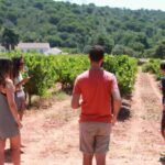 Lisbon: Arrábida and Sesimbra Day Trip with Wine - How the Tour Works: Logistics and Practicalities