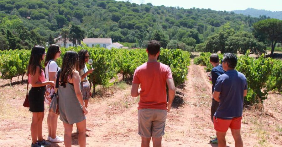 Lisbon: Arrábida and Sesimbra Day Trip with Wine - How the Tour Works: Logistics and Practicalities