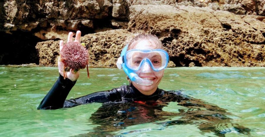 Lisbon: Arrábida Snorkeling Adventure - Why This Tour Offers Real Value