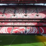 Lisbon: Benfica Luz Stadium Tour with Souvenir Scarf - A Deep Dive into Benfica’s Luz Stadium Tour