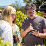 Lisbon: Carcavelos Vineyard Tour and Wine Tasting - The Guided Tour: A Window into Portugal’s Wine Heritage
